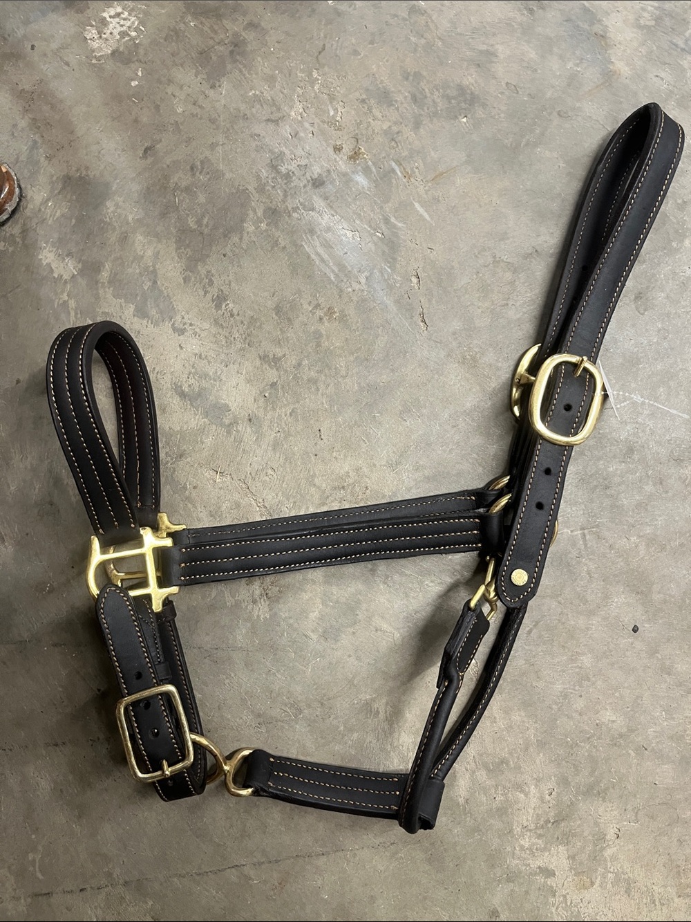 Dover Saddlery leather halter